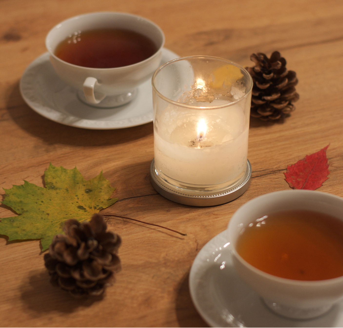 LA DIFFERENZA TRA TISANA, INFUSI E TE’